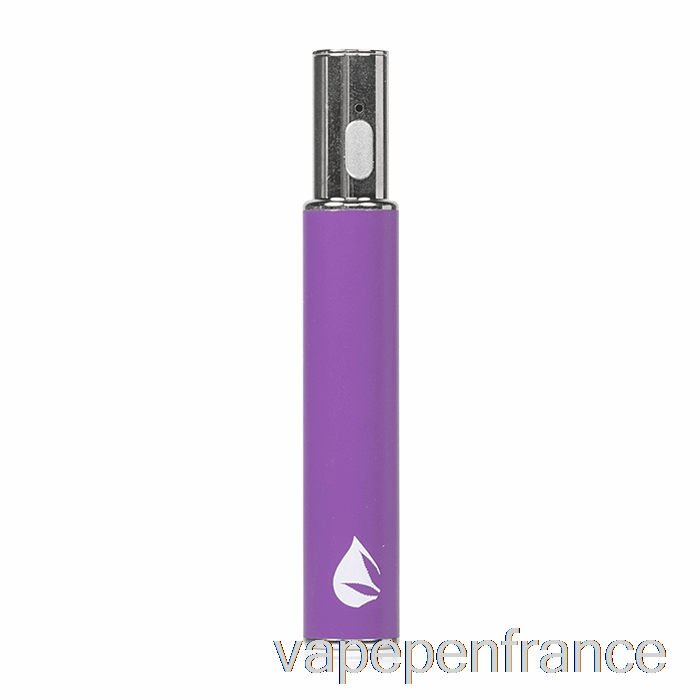 Feuille Buddi Max Iii 3 Batterie 650 Mah Stylo Vape Violet
